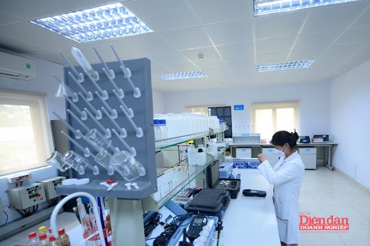 Luật Sở hữu trí tuệ 2025: Cân bằng bảo hộ và đổi mới