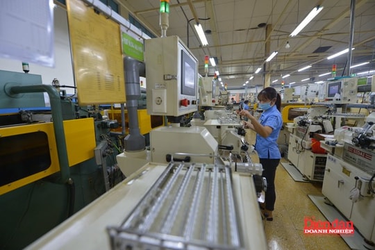 Mở không gian mới cho chuyển giao tri thức