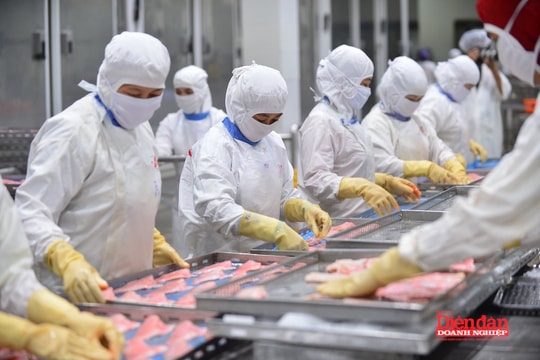 Chu kỳ mới của xuất khẩu cá tra