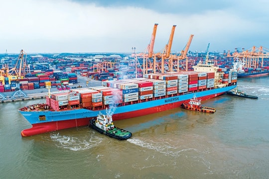 Cảng biển Hải Phòng: Khẳng định “mắt xích” quan trọng trên bản đồ hàng hải quốc tế