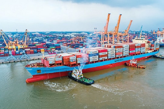 Cuộc đua cảng biển 2025: Cảng nào chiếm ưu thế?