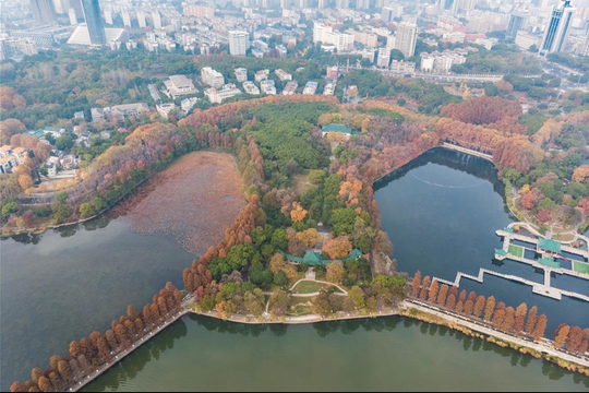 "Thành phố bọt biển" thích ứng biến đổi khí hậu