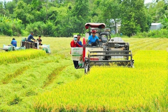 Hợp tác khu vực - “đòn bẩy” mở rộng mô hình gạo phát thải thấp