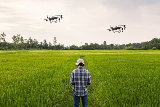 Mở rộng tài chính xanh cho doanh nghiệp đầu tư xanh