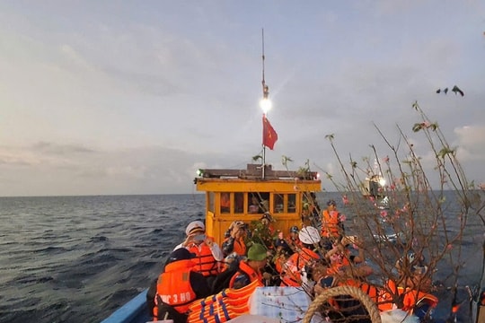 Mùa xuân theo sóng ra Đặc khu Cồn Cỏ, Lý Sơn