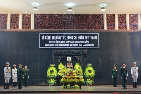 Cây gạo cuối làng đón người con của đất mẹ Hải Phòng