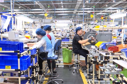 Ấm áp nghĩa tình Xuân 2026: Doanh nghiệp và Công đoàn chung tay chăm lo cho công nhân