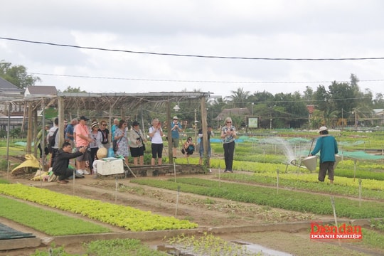 Kim chỉ nam phát triển du lịch nông thôn Đà Nẵng