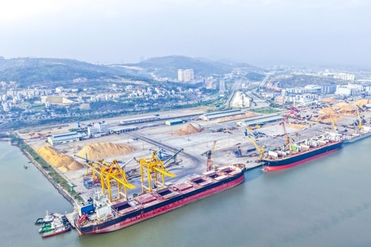 Tầm nhìn xanh từ những nhịp cầu cảng 4.0