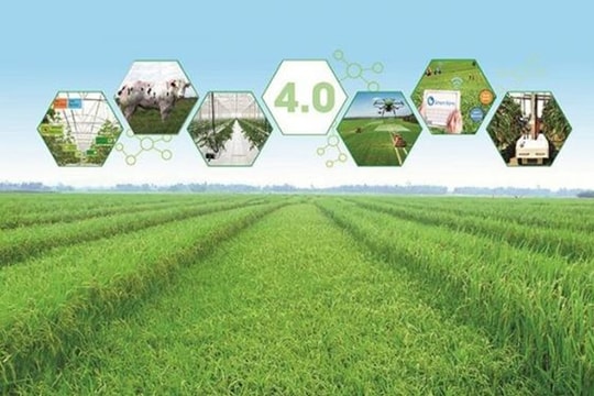 Khởi nghiệp nông nghiệp xanh mở lối phát triển bền vững cho kinh tế nông thôn Việt Nam