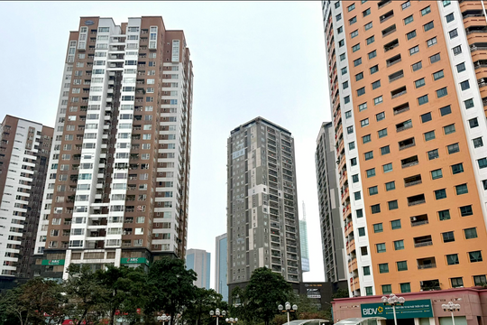 Thí điểm phát triển nhà ở giá phù hợp: Cần cơ chế đủ mạnh để đi vào thực tế