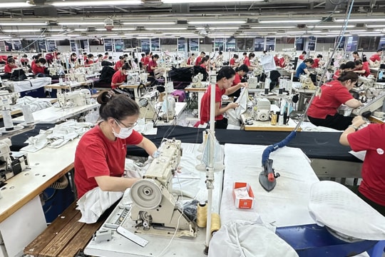 Tăng “sức đề kháng” trước rủi ro