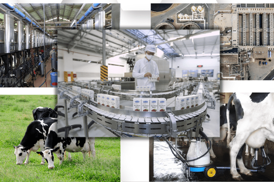 Chiến lược phát triển ngành sữa đến năm 2030, tầm nhìn 2045: Hoàn thiện chuỗi giá trị, nâng cao vị thế sữa Việt