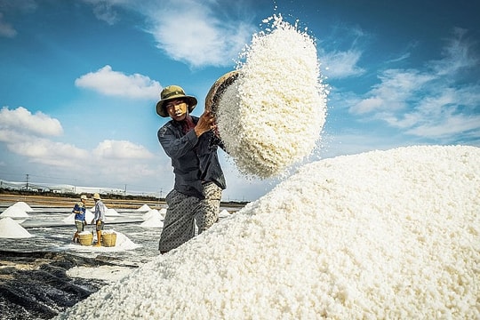 Doanh nghiệp ngành muối chuyển trục chiến lược