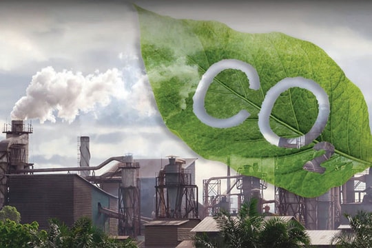 Thị trường tín chỉ carbon: Áp lực và cơ hội định giá doanh nghiệp
