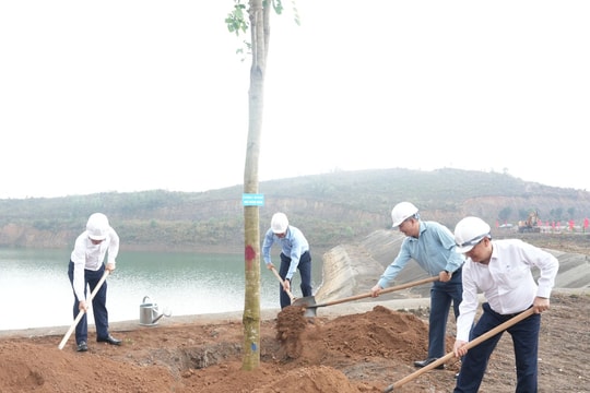 TKV phát động “Tết trồng cây đời đời nhớ ơn Bác Hồ” Xuân Bính Ngọ 2026