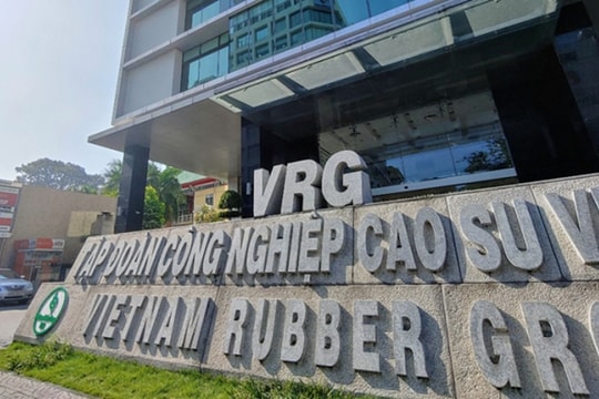 Nhiều tồn tại, vi phạm trong quản lý, sử dụng vốn và tài sản tại VRG