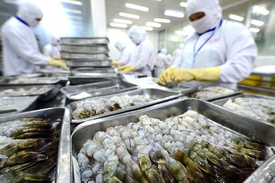 Doanh nghiệp thủy sản trước “cú sốc” Trung Đông