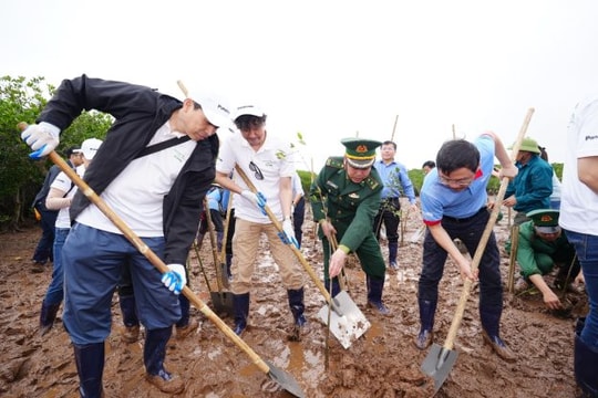 Panasonic tăng cường trồng rừng ngập mặn, tiếp nối hành trình triệu cây