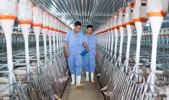 Doanh nghiệp niêm yết đón đầu chu kỳ tăng trưởng mới