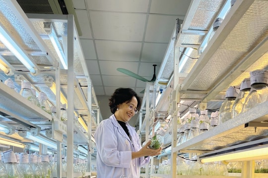 Cần những đại biểu sẵn sàng hành động