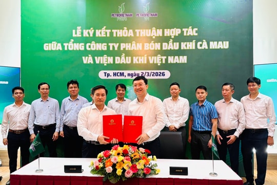 PVCFC và VPI hợp tác phát triển nông nghiệp xanh, bền vững tại Việt Nam
