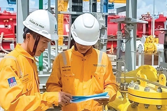 DNNN “hút” chất xám