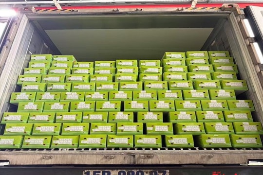 Bộ Công Thương đồng hành cùng doanh nghiệp Hải Phòng phát triển