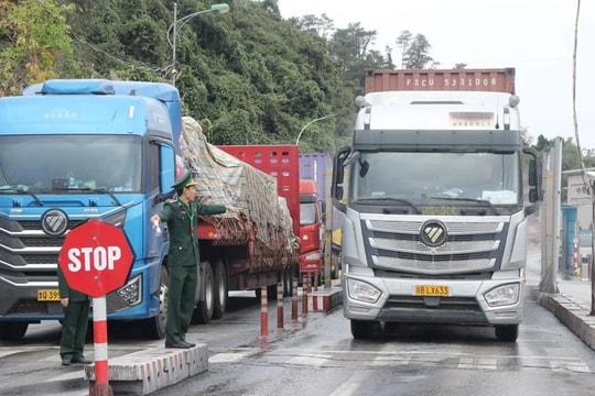 Gỡ vướng Nghị định 46/2026/NĐ-CP: Cân nhắc kéo dài thời gian tạm ngưng hiệu lực