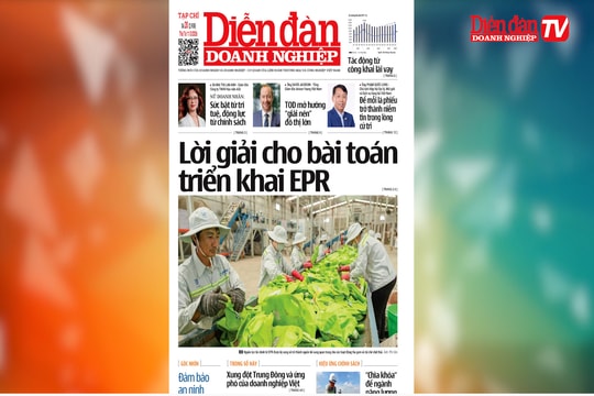 ĐIỂM BÁO NGÀY 11/3: Lời giải cho bài toán triển khai EPR