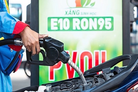Phát triển nhiên liệu sinh học: Cần giải bài toán tự chủ nguồn ethanol
