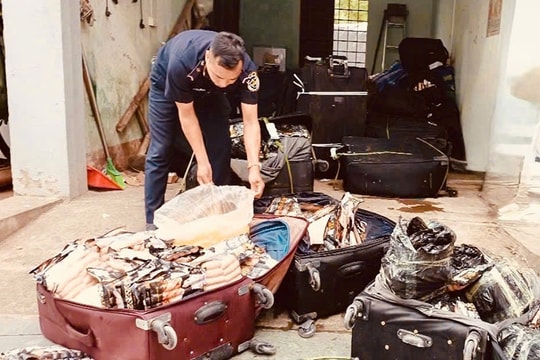 Lực lượng Hải quan liên tiếp phát hiện, ngăn chặn thực phẩm đông lạnh nhập lậu