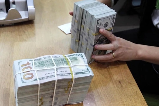 TP HCM sẽ huy động 1.000 tỷ đồng kiều hối cho khoa học - công nghệ