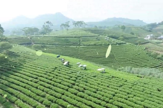 Thái Nguyên tổ chức Tuần Văn hóa, Thể thao và Du lịch 2026, thúc đẩy phát triển du lịch bền vững