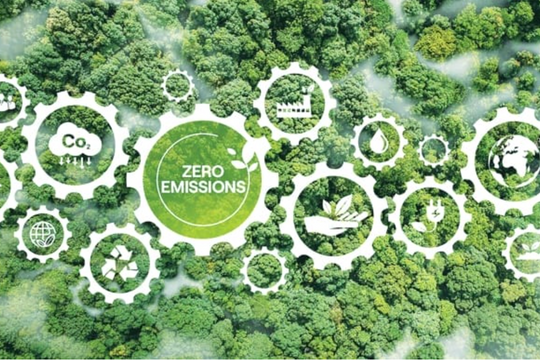 Đòn bẩy tài chính và khung chính sách cho chuyển đổi xanh tại Việt Nam