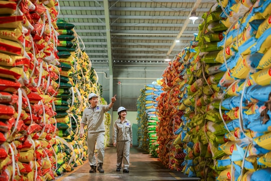 Nhà máy Đạm Phú Mỹ vận hành tối đa công suất