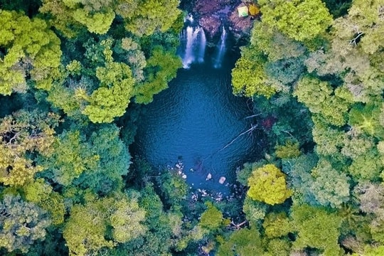 Bỏ phố về rừng, xuống biển trong 1 chuyến đi: Xu hướng mới gây bão