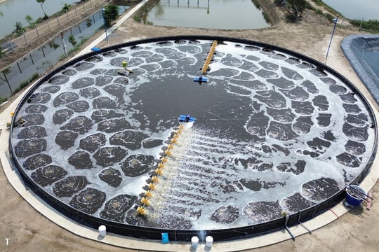 Tối ưu hóa vận hành và chi phí ngành tôm bằng AI