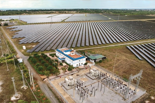 Phát triển năng lượng tái tạo Việt Nam: Từ bùng nổ đến bền vững