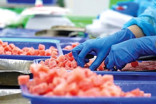 Doanh nghiệp xuất khẩu cá ngừ nâng cao năng lực cạnh tranh