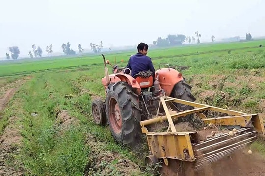 Ninh Bình: Đưa "hàm lượng số" để khơi thông nguồn lực kinh tế nông nghiệp