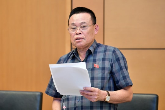 Doanh nhân làm đại biểu Quốc hội