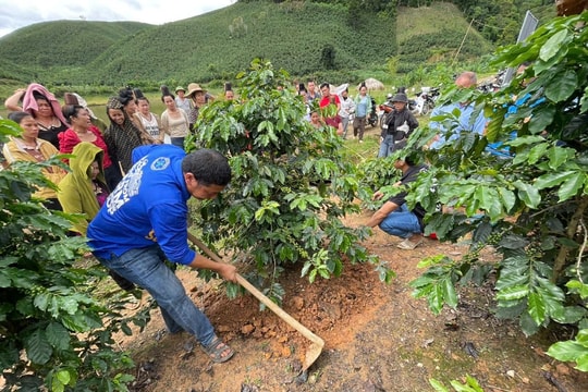 Công nghệ số vào truy xuất nông sản, hỗ trợ mục tiêu kim ngạch 100 tỷ USD