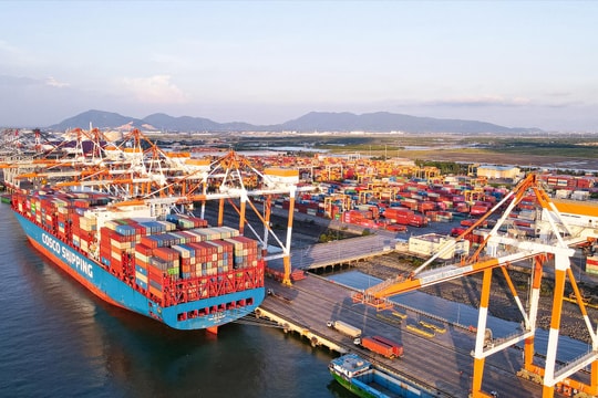 Logistics toàn cầu “đứt nhịp”, doanh nghiệp Việt xoay trục ứng phó