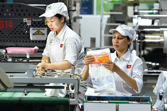 Lời giải cho bài toán tiêu dùng xanh