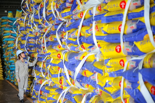 PVFCCo – Phú Mỹ: 23 năm bền bỉ mở rộng giá trị, vươn tầm quốc tế