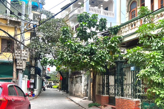 Thị trường nhà thổ cư Hà Nội “đóng băng”