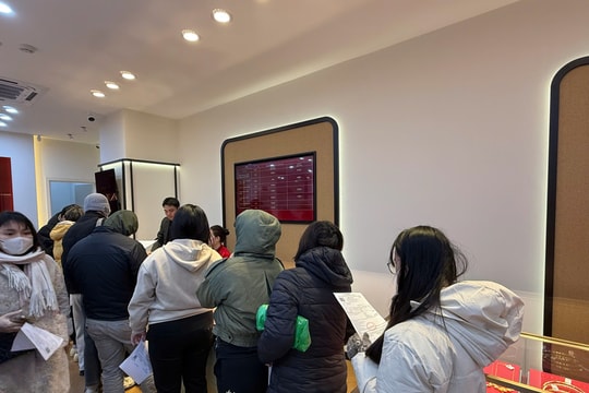 Giá vàng tuần tới: Đà phục hồi có bền vững?