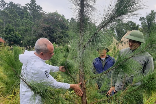 Quảng Ninh: Từ "Lão nông tri điền" đến những "Chuyên gia công nghệ" số