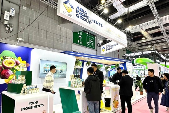 AIG khẳng định vị thế hàng đầu tại Hotelex Shanghai 2026